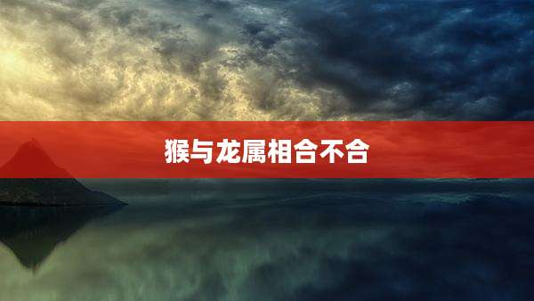 猴与龙属相合不合