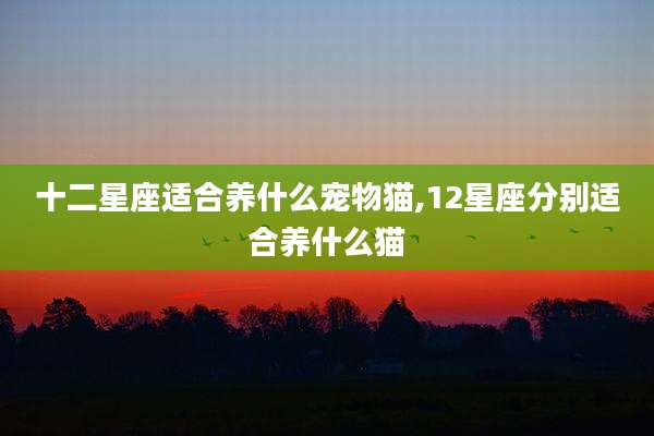 十二星座适合养什么宠物猫,12星座分别适合养什么猫