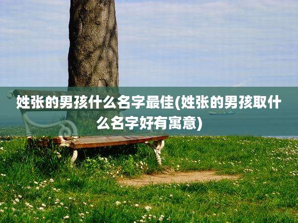 姓张的男孩什么名字最佳(姓张的男孩取什么名字好有寓意)