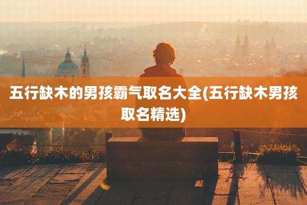 五行缺木的男孩霸气取名大全(五行缺木男孩取名精选)