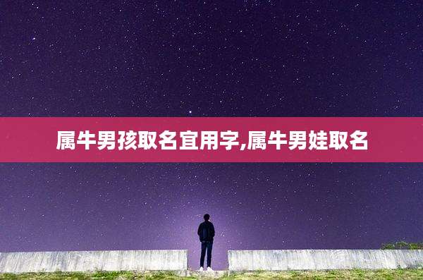 属牛男孩取名宜用字,属牛男娃取名