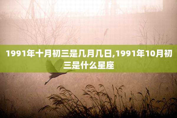 1991年十月初三是几月几日,1991年10月初三是什么星座