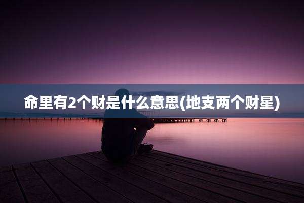 命里有2个财是什么意思(地支两个财星)