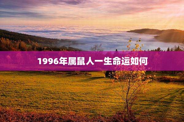 1996年属鼠人一生命运如何