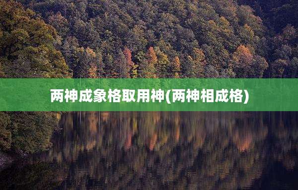 两神成象格取用神(两神相成格)