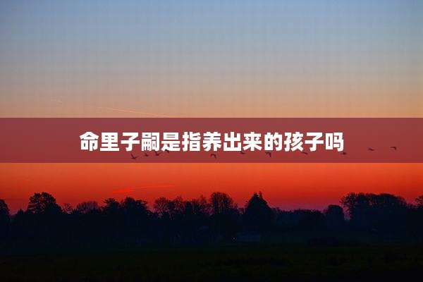 命里子嗣是指养出来的孩子吗