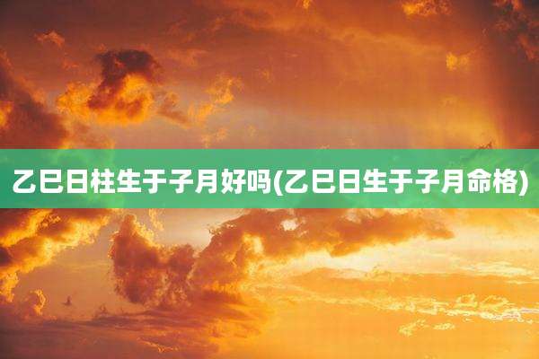 乙巳日柱生于子月好吗(乙巳日生于子月命格)
