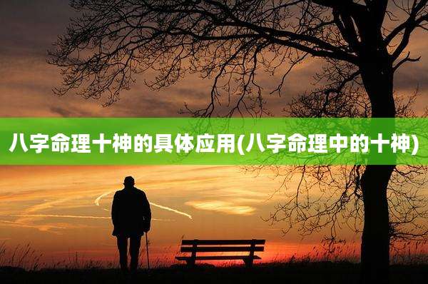 八字命理十神的具体应用(八字命理中的十神)