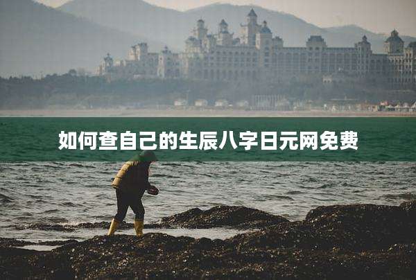 如何查自己的生辰八字日元网免费