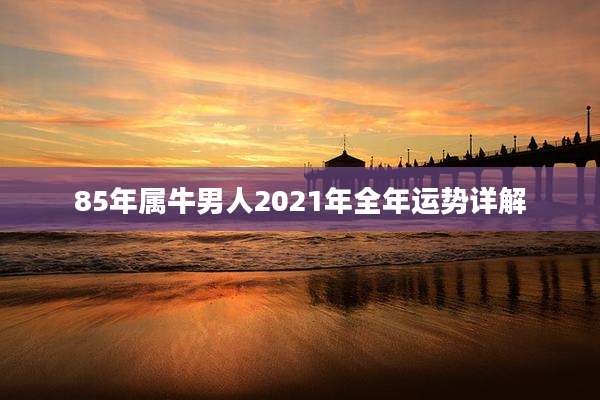 85年属牛男人2021年全年运势详解