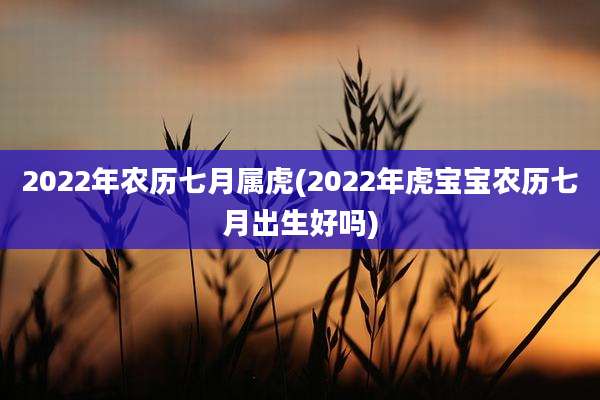 2022年农历七月属虎(2022年虎宝宝农历七月出生好吗)