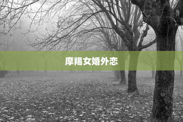 摩羯女婚外恋