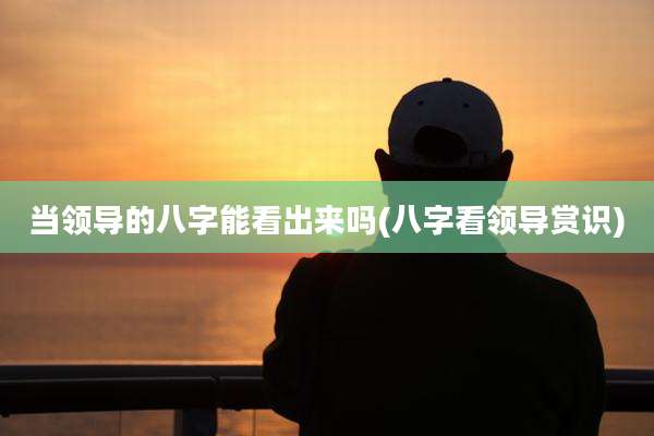 当领导的八字能看出来吗(八字看领导赏识)