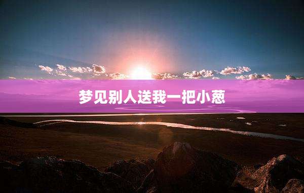 梦见别人送我一把小葱