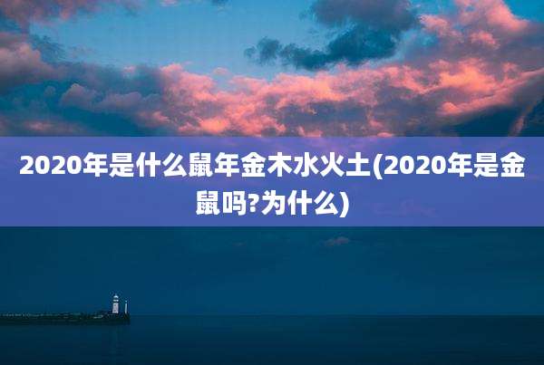 2020年是什么鼠年金木水火土(2020年是金鼠吗?为什么)
