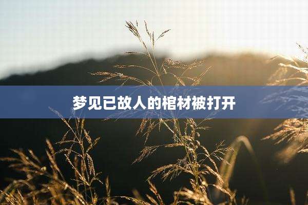 梦见已故人的棺材被打开