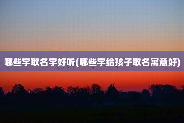 哪些字取名字好听(哪些字给孩子取名寓意好)