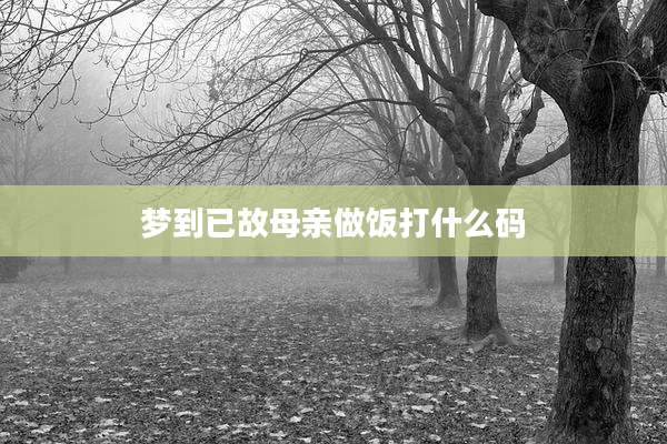 梦到已故母亲做饭打什么码