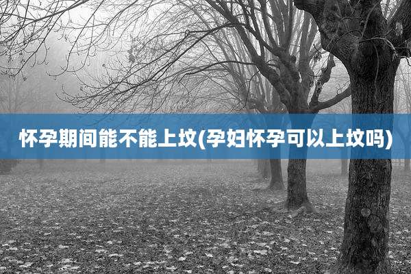 怀孕期间能不能上坟(孕妇怀孕可以上坟吗)