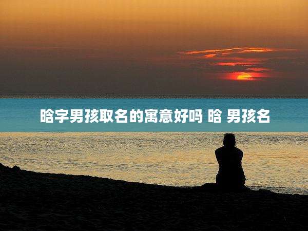 晗字男孩取名的寓意好吗 晗 男孩名