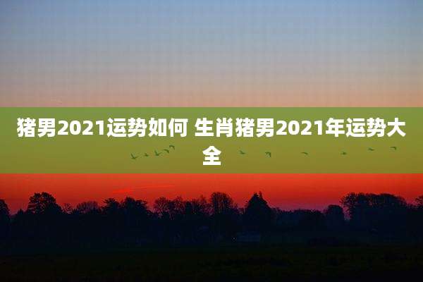 猪男2021运势如何 生肖猪男2021年运势大全