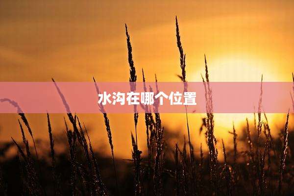 水沟在哪个位置