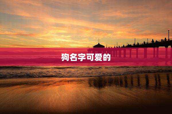 狗名字可爱的