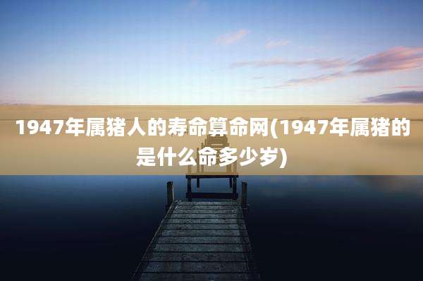 1947年属猪人的寿命算命网(1947年属猪的是什么命多少岁)