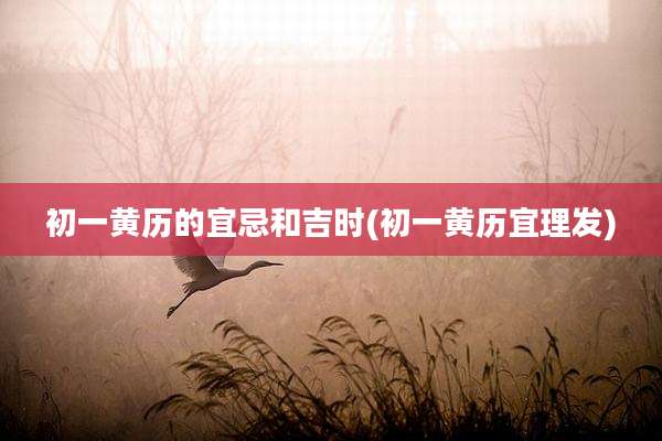 初一黄历的宜忌和吉时(初一黄历宜理发)