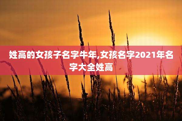 姓高的女孩子名字牛年,女孩名字2021年名字大全姓高