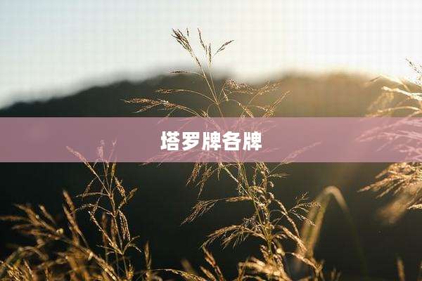 塔罗牌各牌