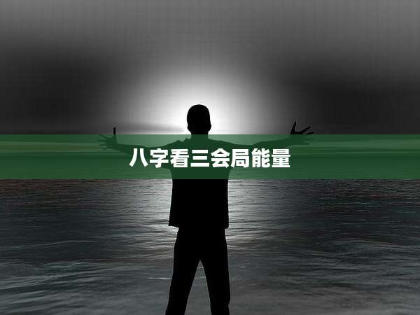 八字看三会局能量
