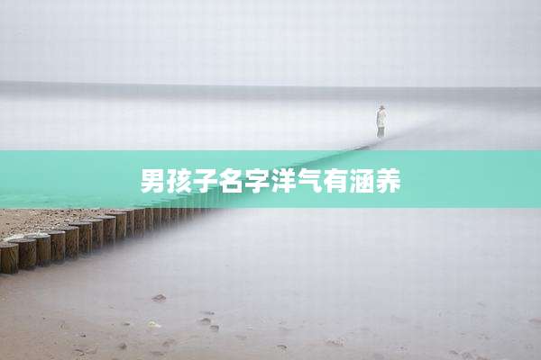 男孩子名字洋气有涵养