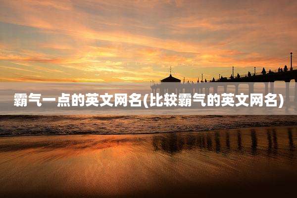 霸气一点的英文网名(比较霸气的英文网名)