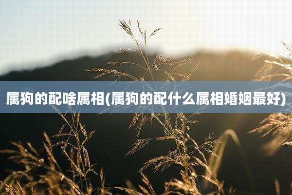 属狗的配啥属相(属狗的配什么属相婚姻最好)