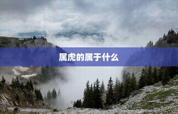 属虎的属于什么