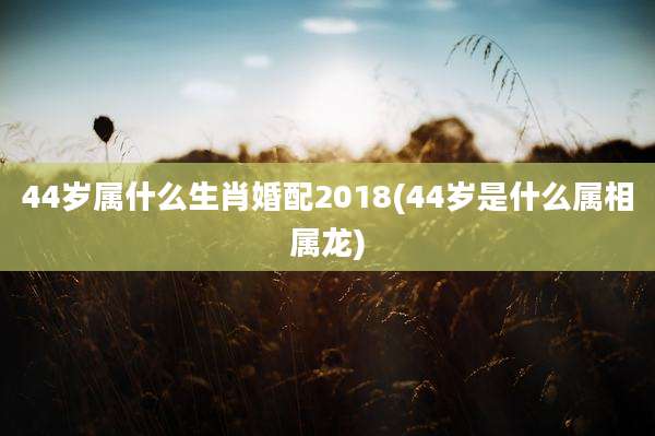 44岁属什么生肖婚配2018(44岁是什么属相属龙)