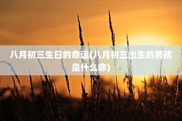 八月初三生日的命运(八月初三出生的男孩是什么命)