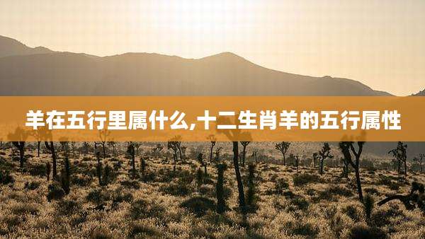 羊在五行里属什么,十二生肖羊的五行属性