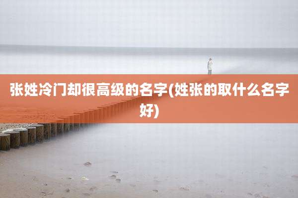 张姓冷门却很高级的名字(姓张的取什么名字好)
