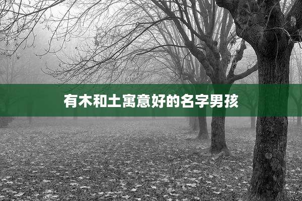 有木和土寓意好的名字男孩
