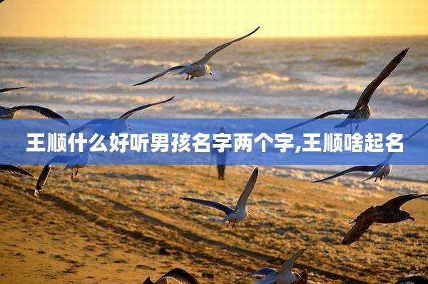 王顺什么好听男孩名字两个字,王顺啥起名