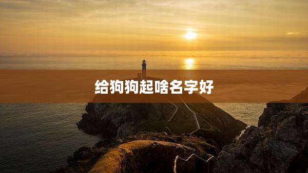 给狗狗起啥名字好