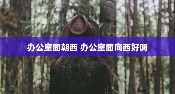 办公室面朝西 办公室面向西好吗