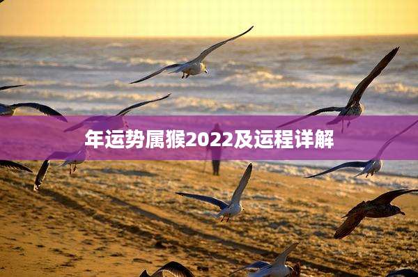 年运势属猴2022及运程详解