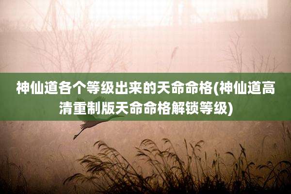 神仙道各个等级出来的天命命格(神仙道高清重制版天命命格解锁等级)