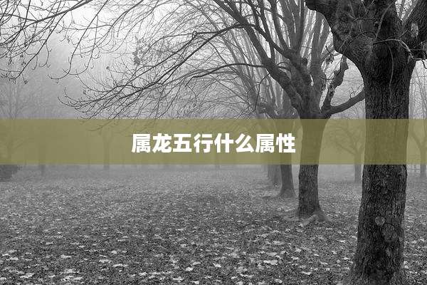 属龙五行什么属性