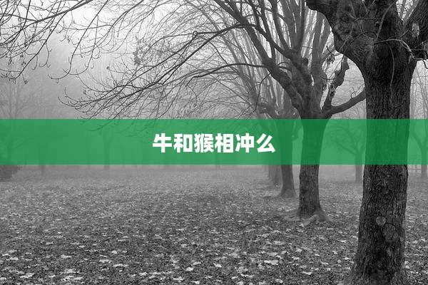 牛和猴相冲么