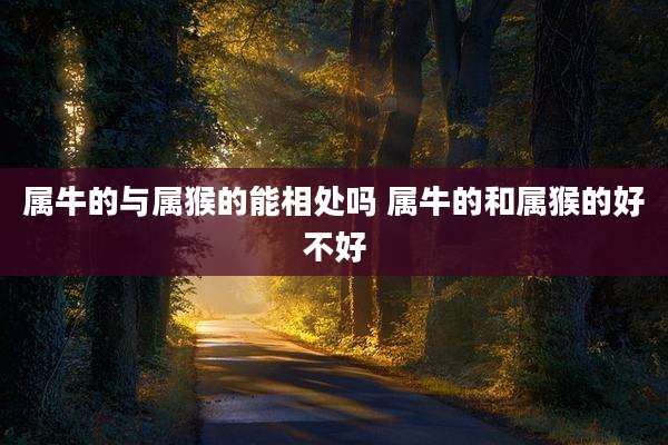 属牛的与属猴的能相处吗 属牛的和属猴的好不好