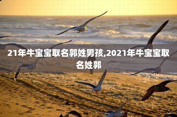 21年牛宝宝取名郭姓男孩,2021年牛宝宝取名姓郭